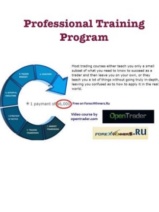 OpenTrader Professional Training Program x