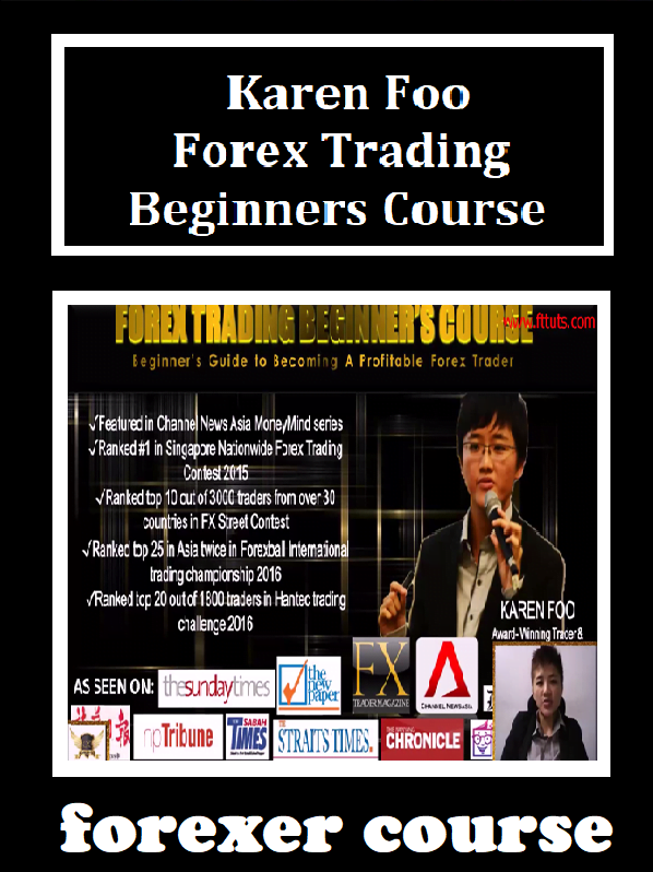 karen foo forex trading for beginners