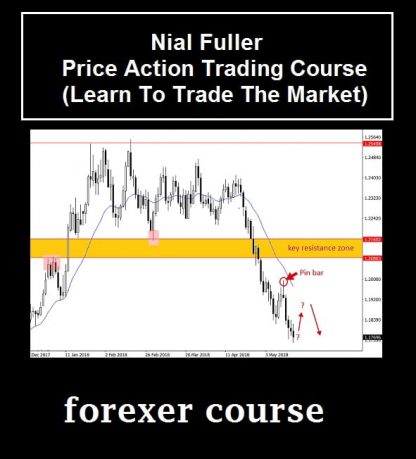 Nial Fuller – Price Action Trading CourseLearn To Trade The Market