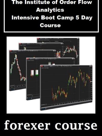 The Institute of Order Flow Analytics – Intensive Boot Camp Day Course