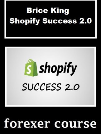 Brice King – Shopify Success