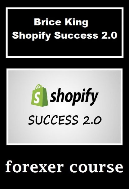 Brice King – Shopify Success