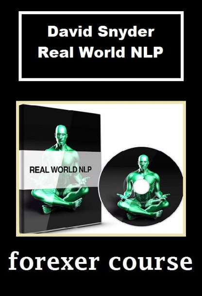 David Snyder Real World NLP
