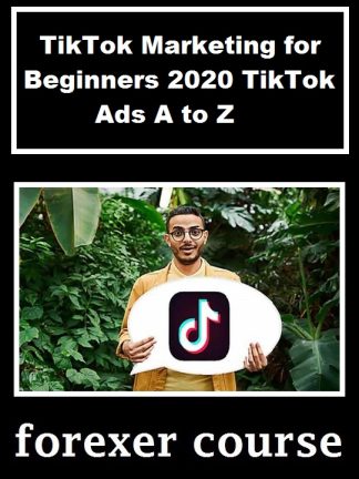 TikTok Marketing for Beginners TikTok Ads