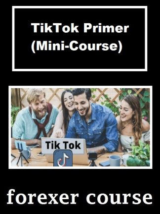 TikTok Primer Mini Course